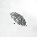 Carhartt WIP Snake Camo Compact Umbrella: Snake Camo